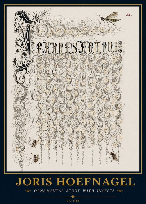 Joris Hoefnagel Ornamental Study with Insects No3 - Plakát