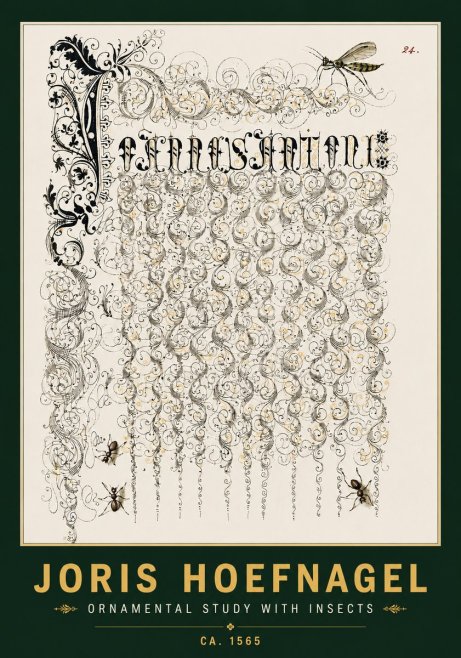 Joris Hoefnagel Ornamental Study with Insects No4 - Plakát