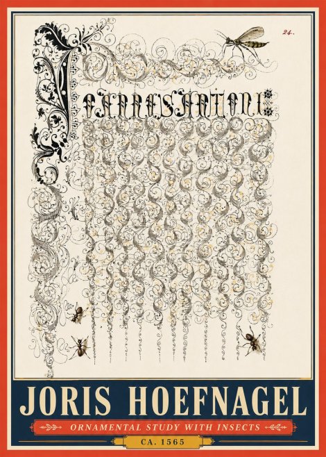 Joris Hoefnagel Ornamental Study with Insects No5 - Plakát