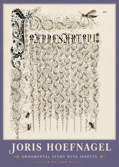 Joris Hoefnagel Ornamental Study with Insects No6 - Plakát