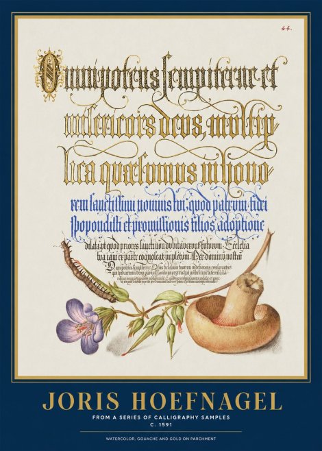 Joris Hoefnagel From a Series of Calligraphy Samples No1 - Plakát