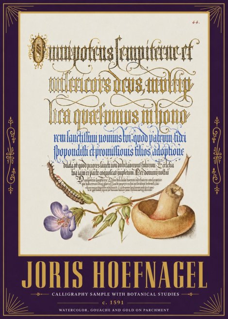Joris Hoefnagel From a Series of Calligraphy Samples No5 - Plakát