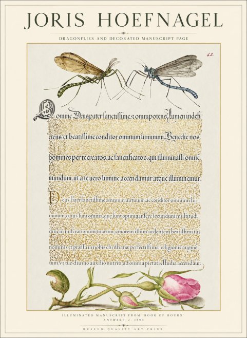 Joris Hoefnagel Dragonflies and Decorated Manuscript Page No1 - Plakát