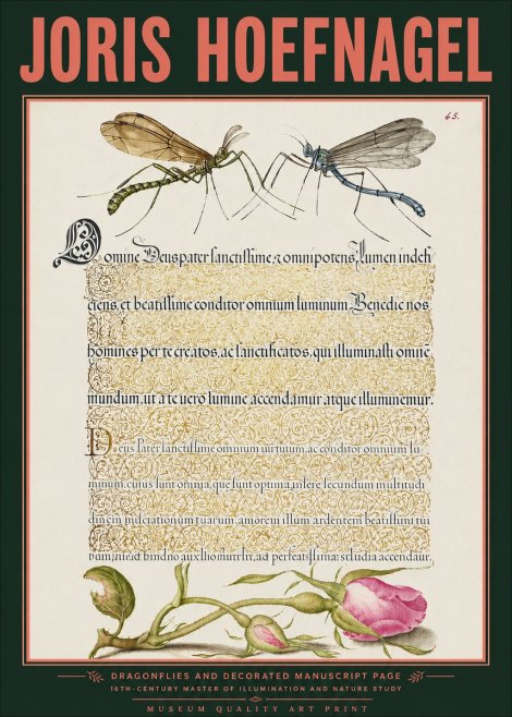 Joris Hoefnagel Dragonflies and Decorated Manuscript Page No3 - Plakát