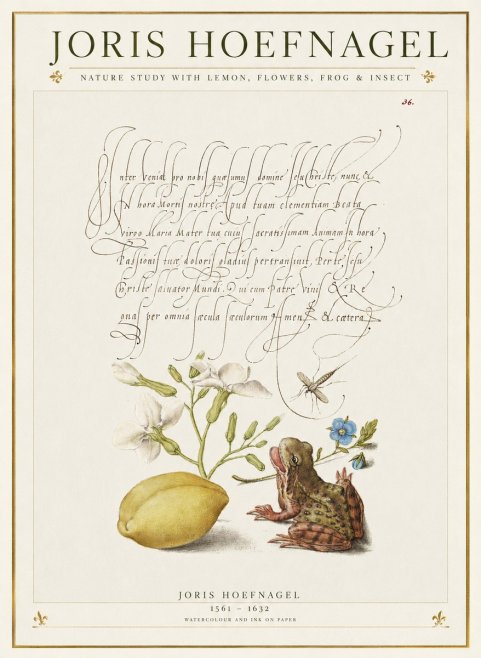 Joris Hoefnagel Nature Study with Lemon, Flowers, Frog & Insect No1 - Plakát