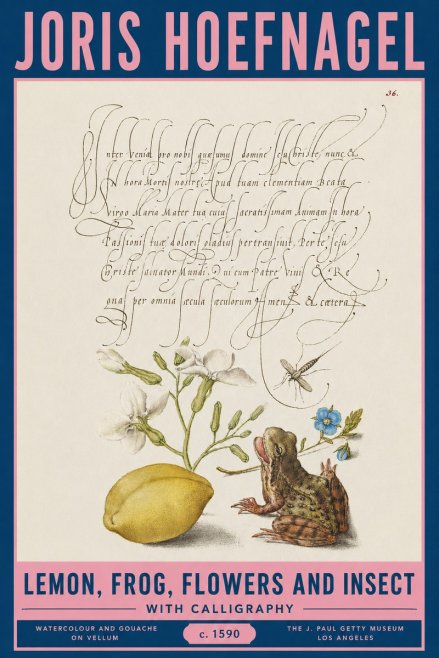 Joris Hoefnagel Nature Study with Lemon, Flowers, Frog & Insect No3 - Plakát