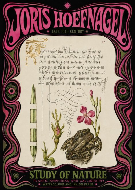 Joris Hoefnagel Study of Nature I No3 - Plakát