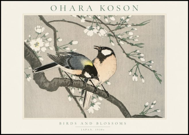 Ohara Koson Birds and Blossoms No1 - Plakát