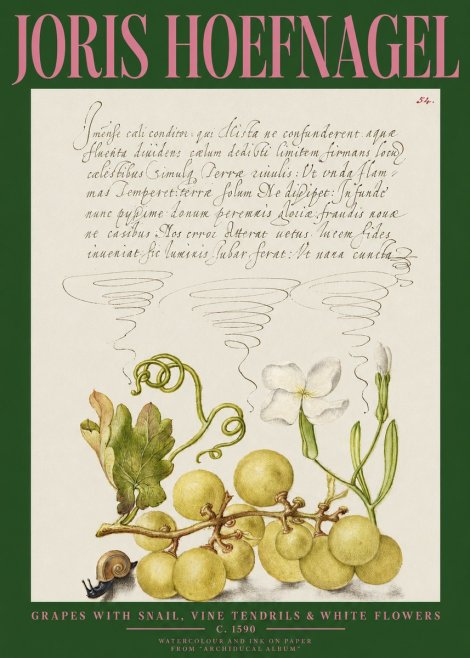 Joris Hoefnagel Grapes with Snail, Vine Tendrils & White Flowers No2 - Plakát