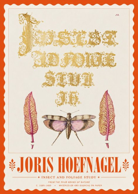Joris Hoefnagel Insect and Foliage Study No3 - Plakát