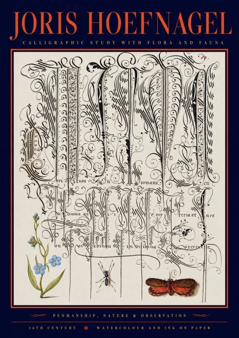 Joris Hoefnagel Calligraphic Study with Flora and Fauna No2 - Plakát