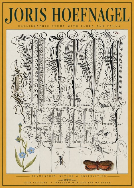 Joris Hoefnagel Calligraphic Study with Flora and Fauna No3 - Plakát