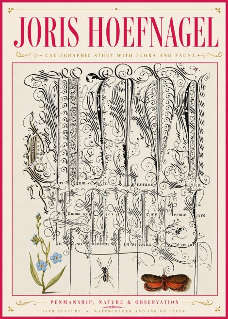 Joris Hoefnagel Calligraphic Study with Flora and Fauna No6 - Plakát