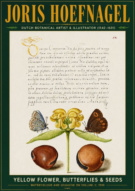 Joris Hoefnagel Yellow Flower, Butterflies & Seeds No5 - Plakát