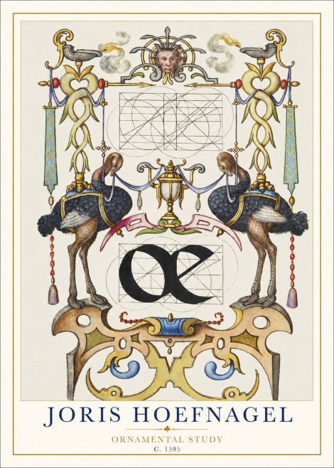 Joris Hoefnagel Ornamental Study I No1 - Plakát