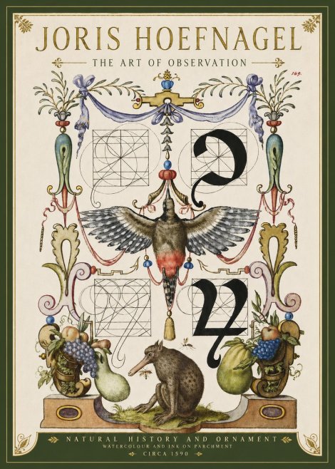 Joris Hoefnagel Study of Nature and Ornament No4 - Plakát