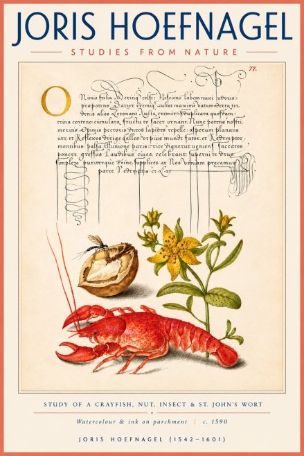 Joris Hoefnagel Studies from Nature No4 - Plakát