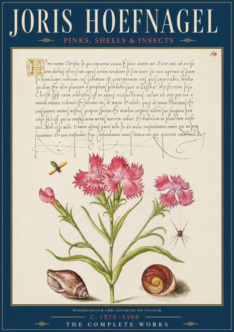 Joris Hoefnagel Pinks, Shells & Insects No5 - Plakát