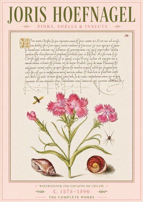 Joris Hoefnagel Pinks, Shells & Insects No6 - Plakát