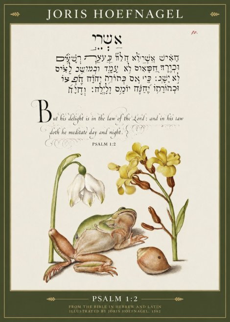 Joris Hoefnagel Psalm 1:2 No1 - Plakát