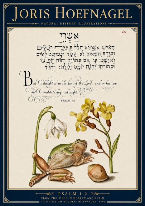 Joris Hoefnagel Psalm 1:2 No6 - Plakát