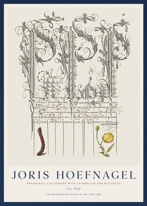 Joris Hoefnagel Ornamental Calligraphy with Caterpillar and Buttercup No1 - Plakát
