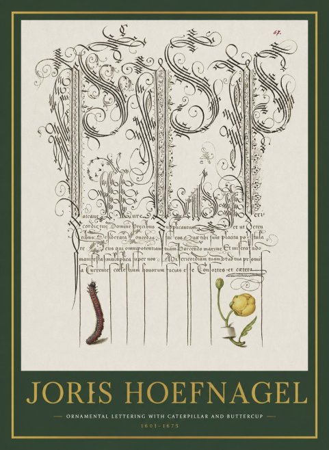 Joris Hoefnagel Ornamental Calligraphy with Caterpillar and Buttercup No2 - Plakát