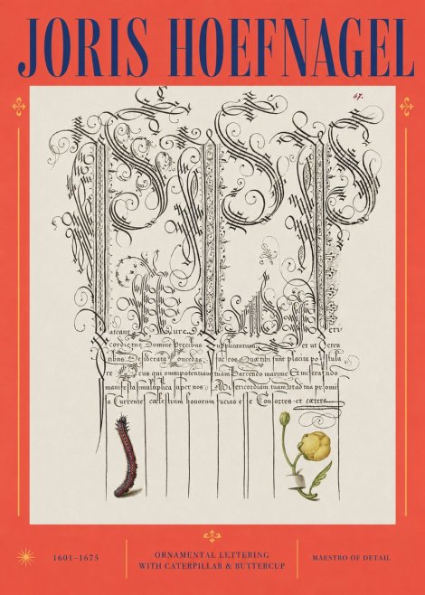 Joris Hoefnagel Ornamental Calligraphy with Caterpillar and Buttercup No3 - Plakát