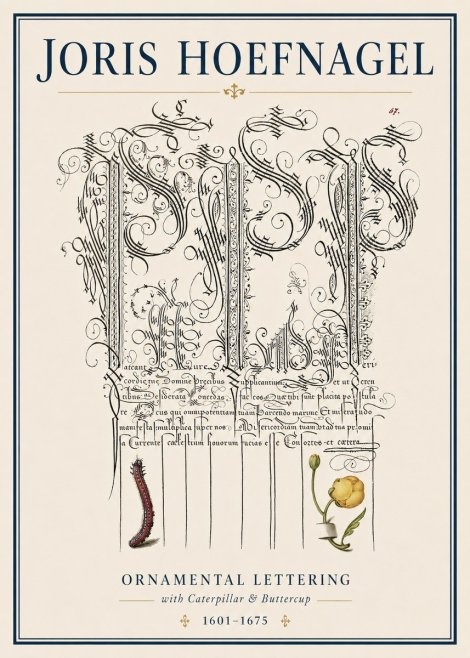 Joris Hoefnagel Ornamental Calligraphy with Caterpillar and Buttercup No4 - Plakát