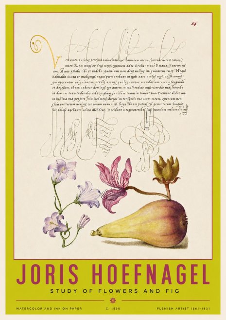 Joris Hoefnagel Study of Plants II No4 - Plakát