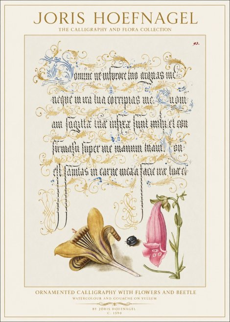 Joris Hoefnagel Ornamented Calligraphy with Flowers and Beetle No1 - Plakát
