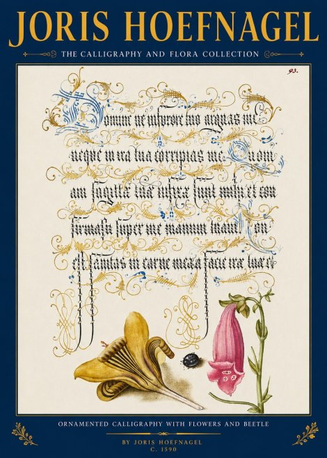 Joris Hoefnagel Ornamented Calligraphy with Flowers and Beetle No2 - Plakát