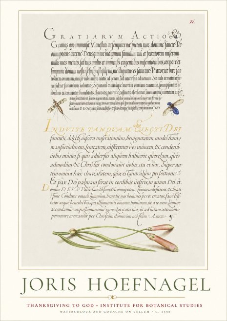 Joris Hoefnagel Thanksgiving to God • Institute for Botanical Studies No1 - Plakát