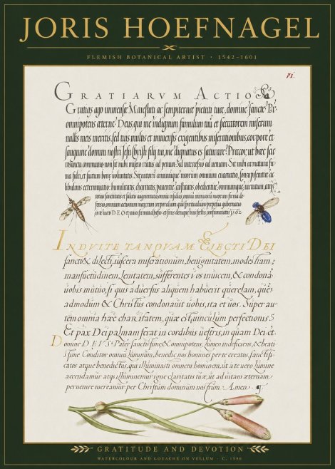 Joris Hoefnagel Thanksgiving to God • Institute for Botanical Studies No3 - Plakát