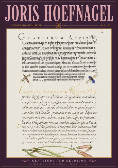 Joris Hoefnagel Thanksgiving to God • Institute for Botanical Studies No4 - Plakát
