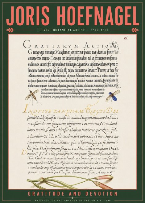 Joris Hoefnagel Thanksgiving to God • Institute for Botanical Studies No5 - Plakát