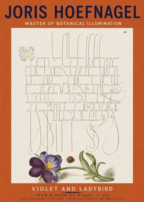 Joris Hoefnagel Violet and Ladybird No2 - Plakát