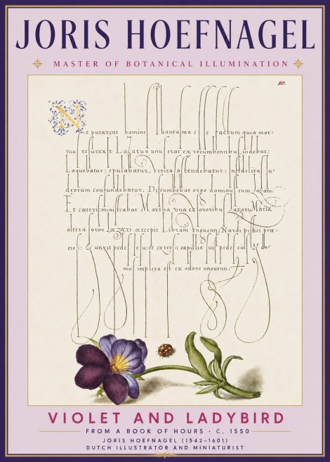Joris Hoefnagel Violet and Ladybird No3 - Plakát