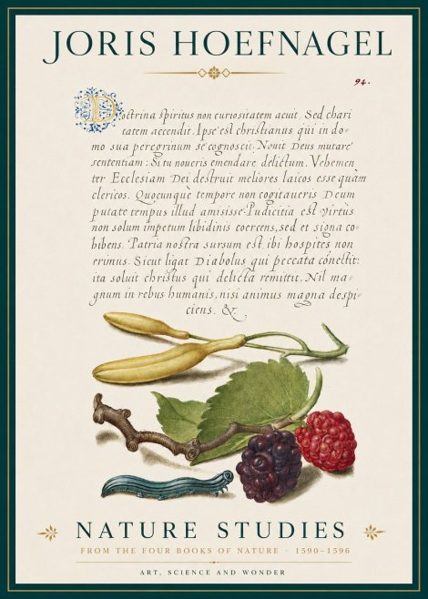 Joris Hoefnagel Nature Studies No3 - Plakát