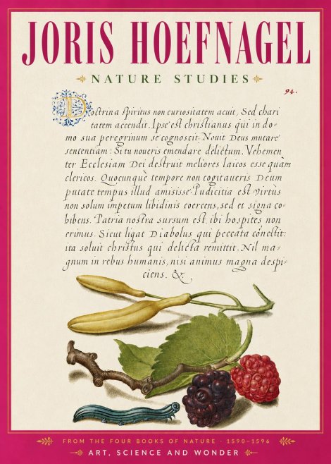 Joris Hoefnagel Nature Studies No6 - Plakát