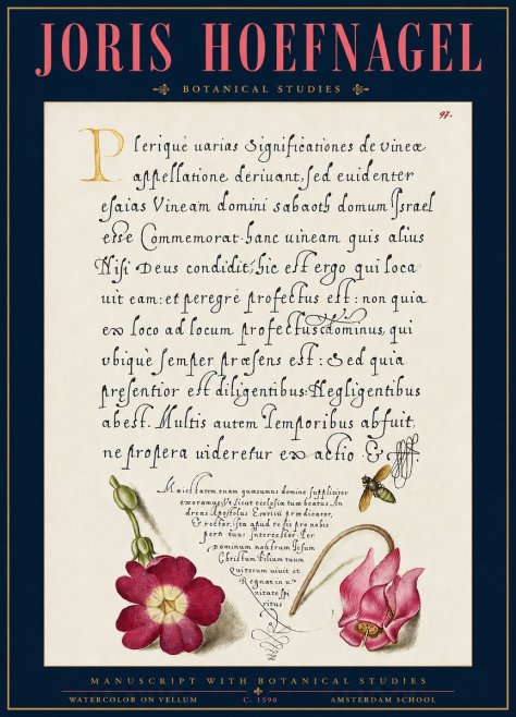 Joris Hoefnagel Manuscript with Botanical Studies No3 - Plakát