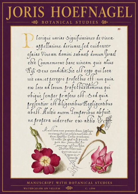 Joris Hoefnagel Manuscript with Botanical Studies No5 - Plakát