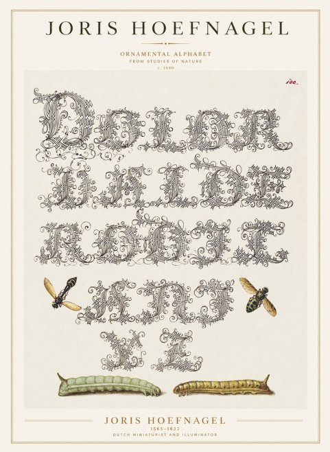 Joris Hoefnagel Ornamental Alphabet from Studies of Nature No1 - Plakát