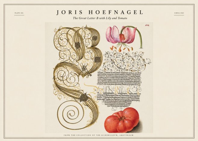Joris Hoefnagel The Great Letter B with Lily and Tomato No1 - Plakát