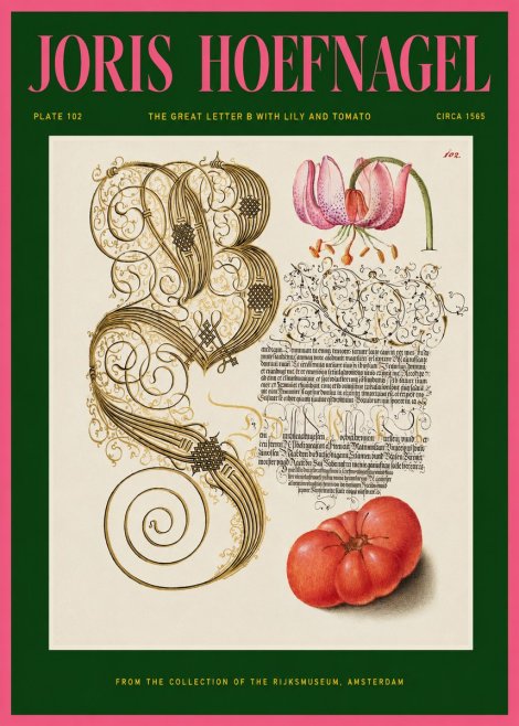 Joris Hoefnagel The Great Letter B with Lily and Tomato No2 - Plakát
