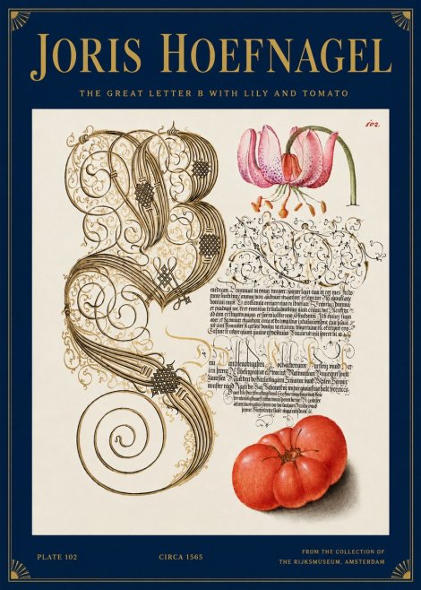 Joris Hoefnagel The Great Letter B with Lily and Tomato No3 - Plakát