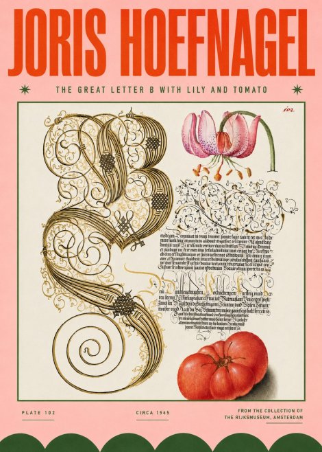 Joris Hoefnagel The Great Letter B with Lily and Tomato No4 - Plakát