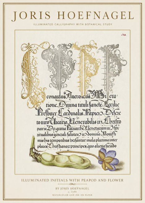 Joris Hoefnagel Illuminated Initials with Peapod and Flower No1 - Plakát