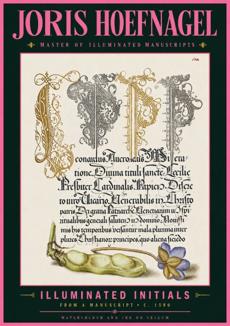 Joris Hoefnagel Illuminated Initials with Peapod and Flower No6 - Plakát