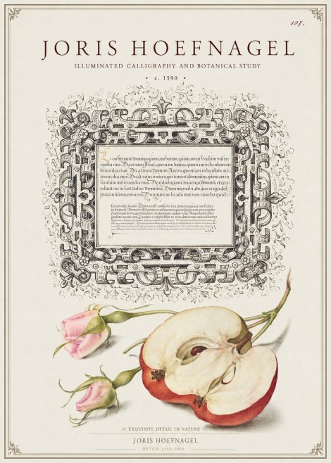 Joris Hoefnagel Illuminated Calligraphy and Botanical Study No1 - Plakát